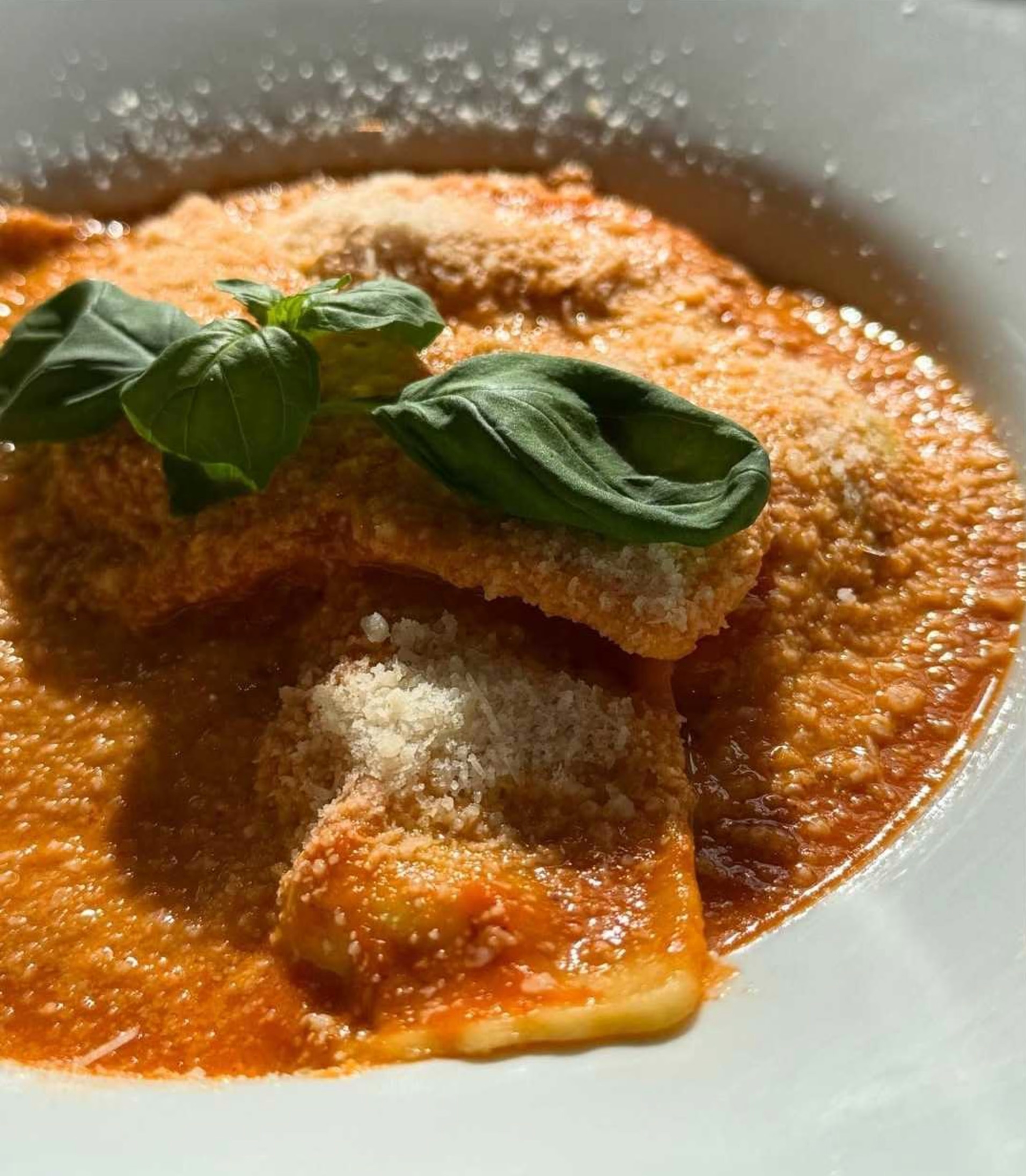 Fresh pasta and Italian wine Stockholm